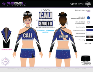 Camarillo Smoed Skirt
